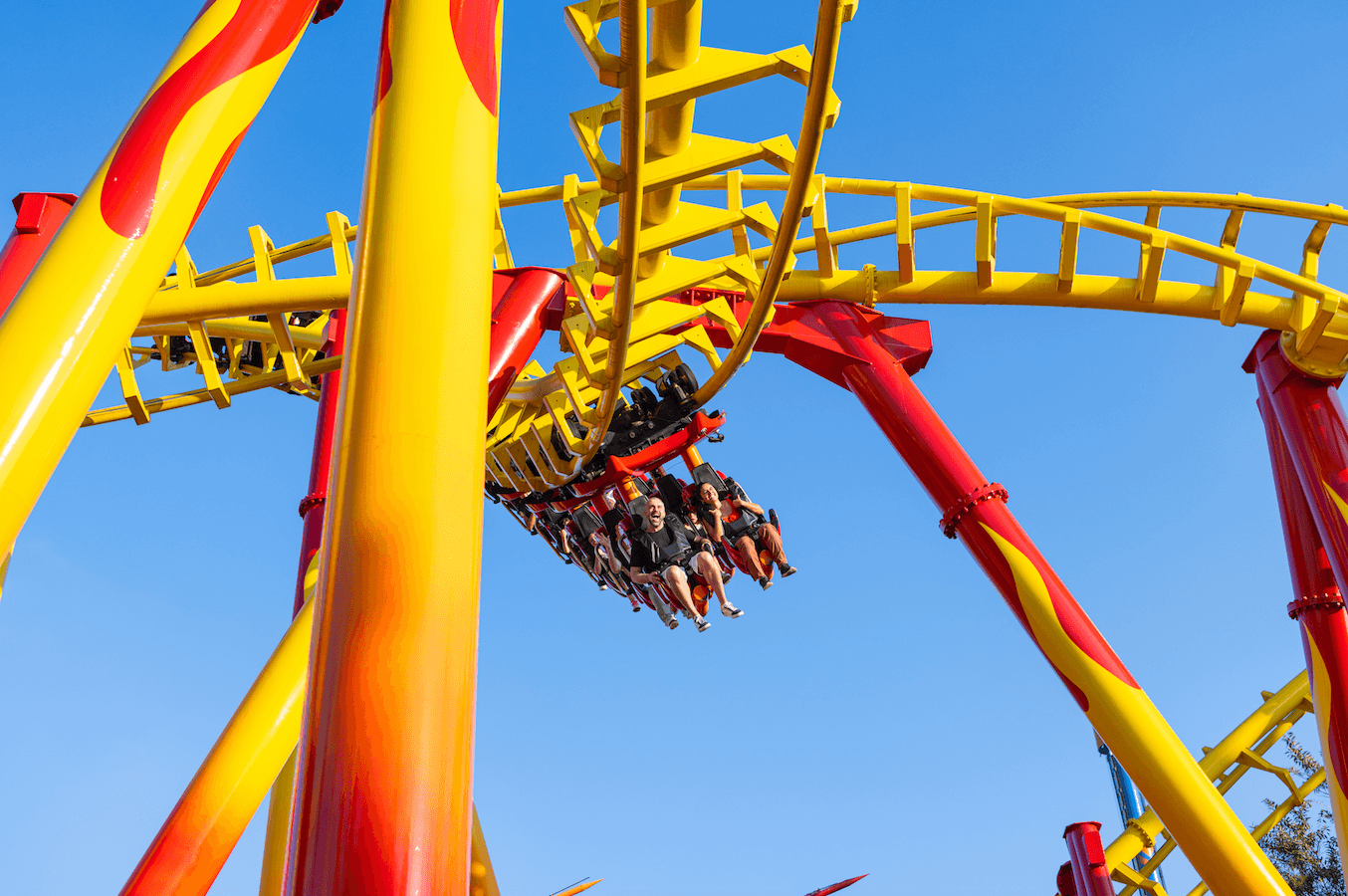 Beto Carrero World é eleito o melhor parque temático do Brasil